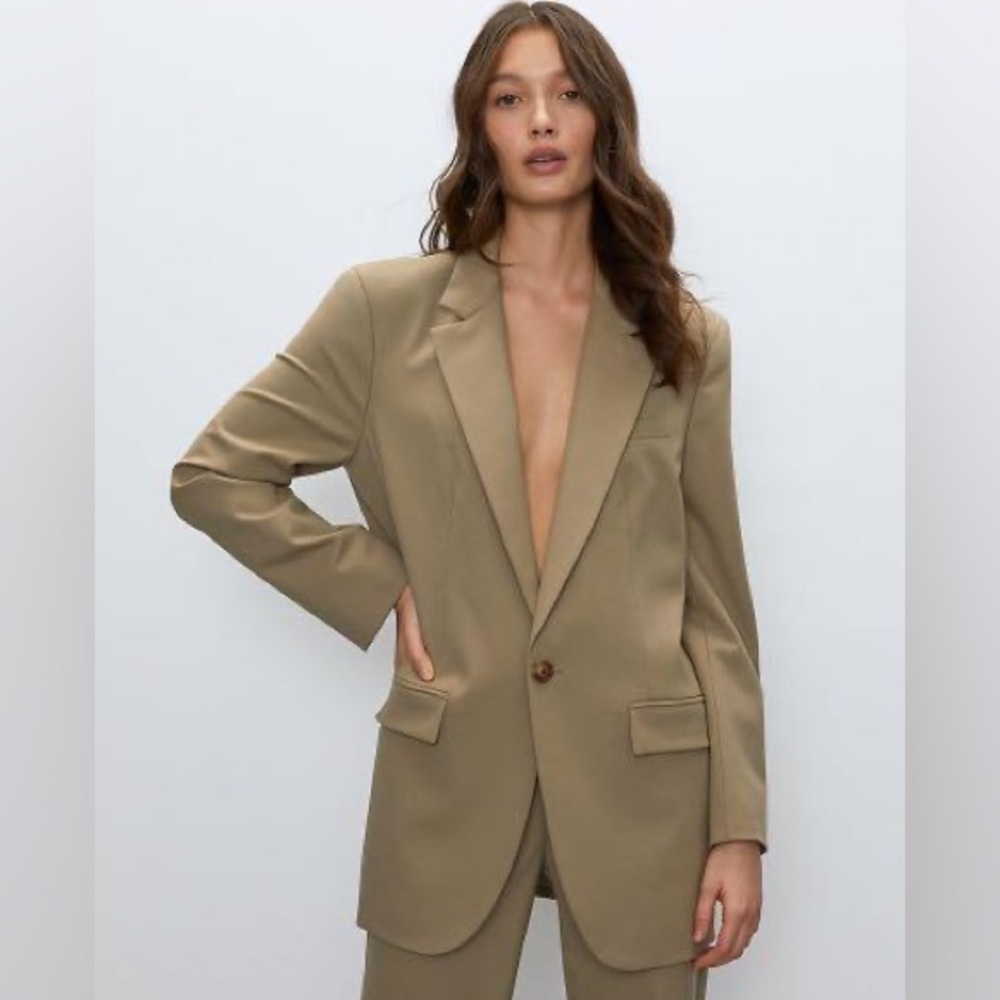 Aritzia Babaton Agency Blazer